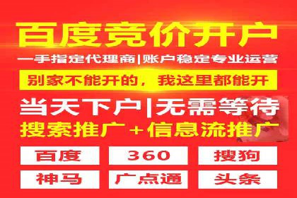 竞价广告策略案例分析